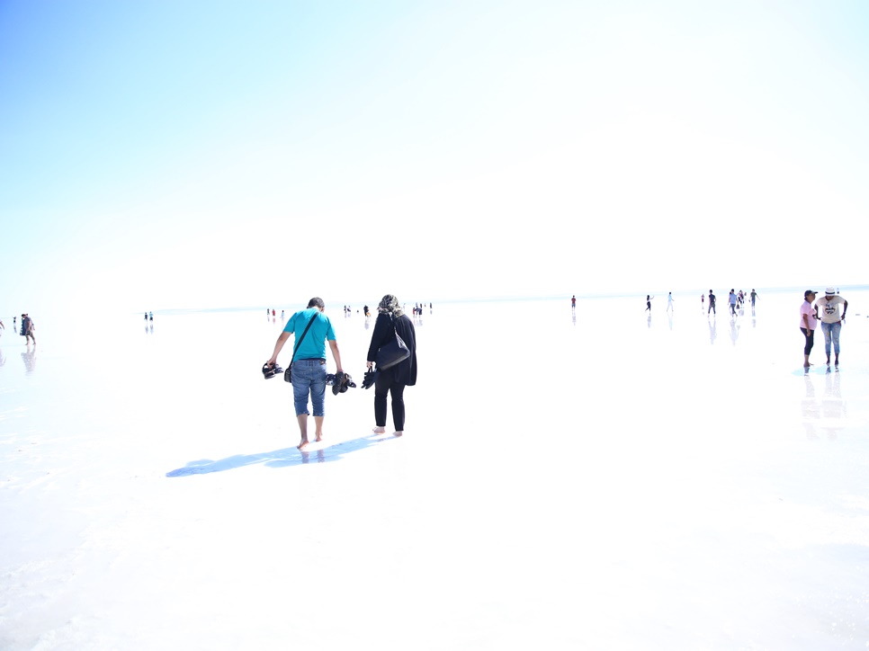 교수학생 서비서